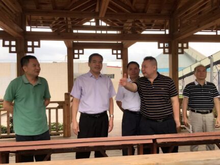 公海彩船6600(中国游)官方网站