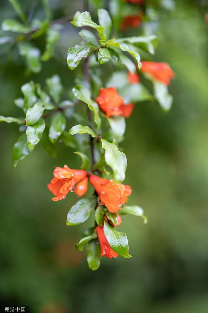 公海彩船6600(中国游)官方网站