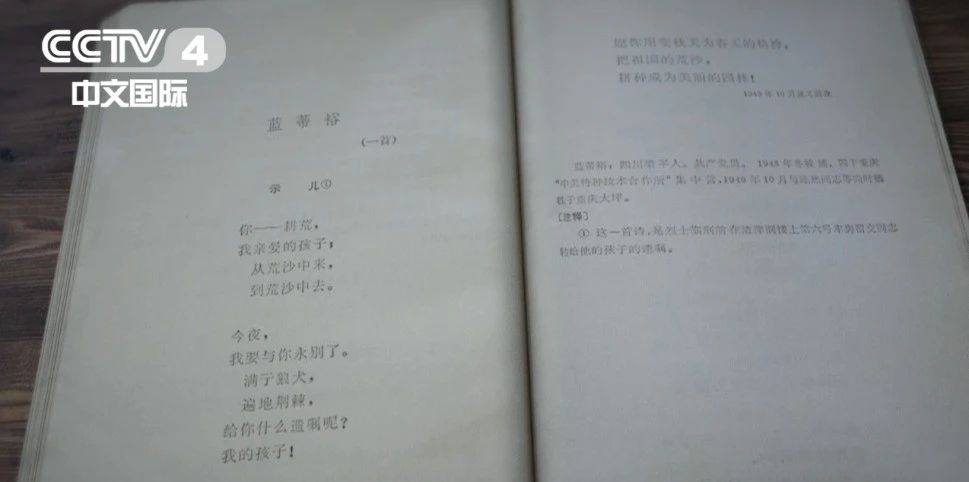 公海彩船6600(中国游)官方网站