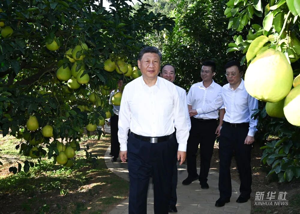 公海彩船6600(中国游)官方网站