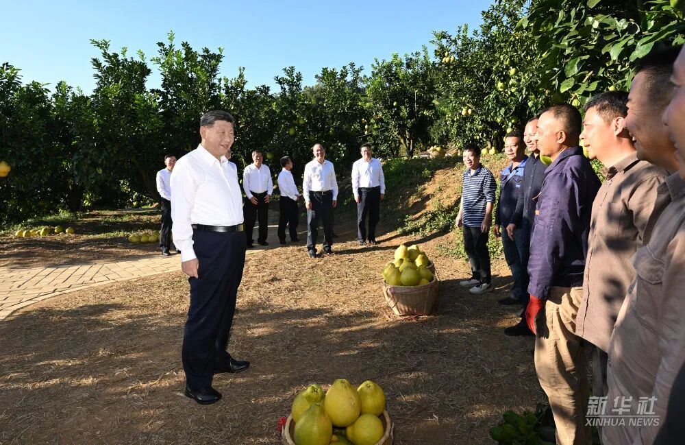 公海彩船6600(中国游)官方网站